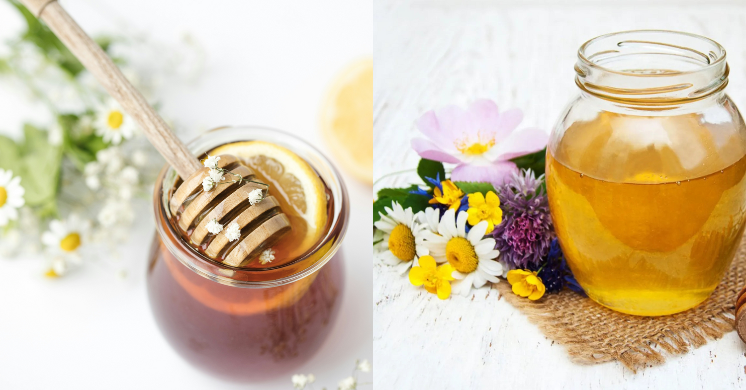 Monofloral vs. Multifloral Honey: What’s the Difference and Which Is Right for You?