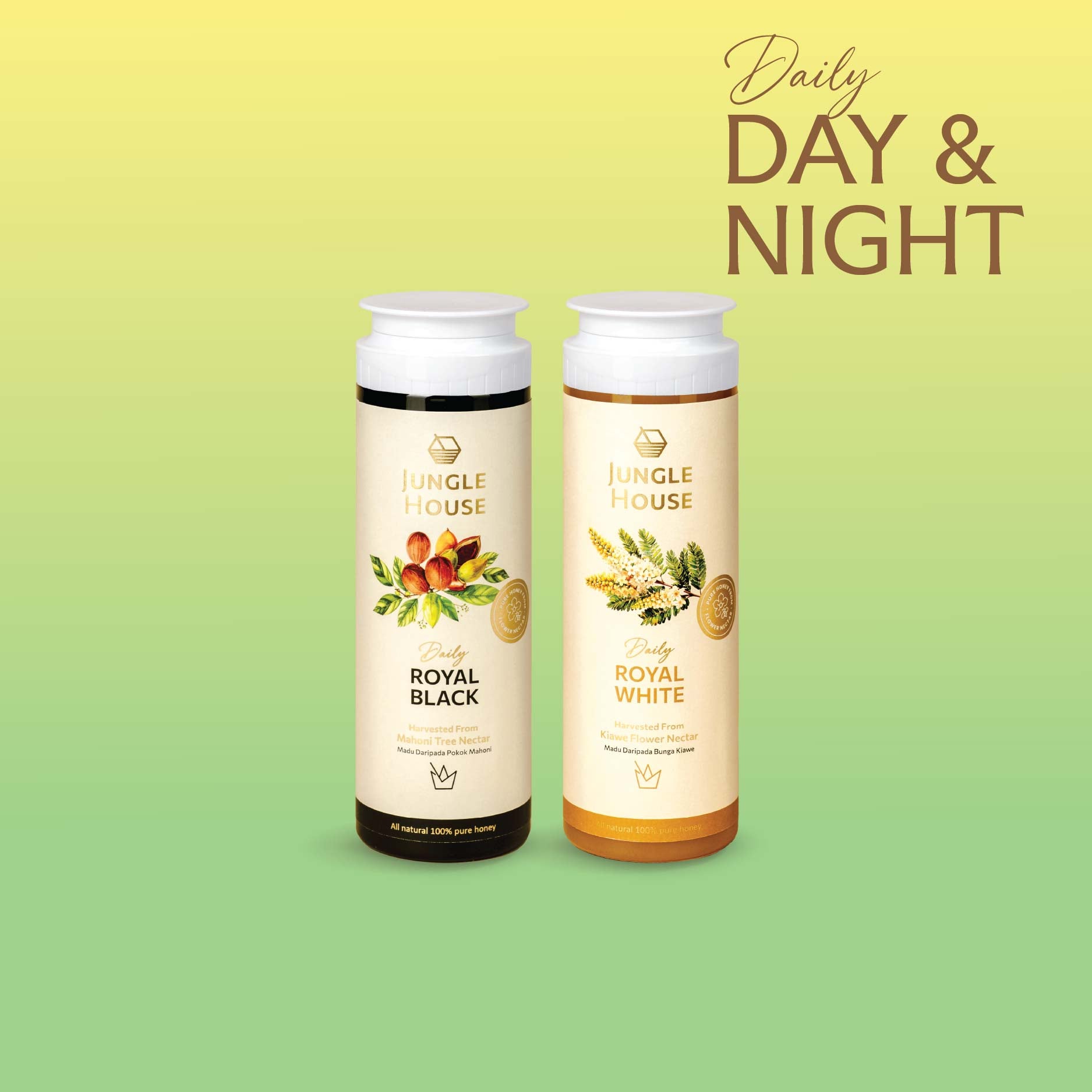 Day & Night Daily