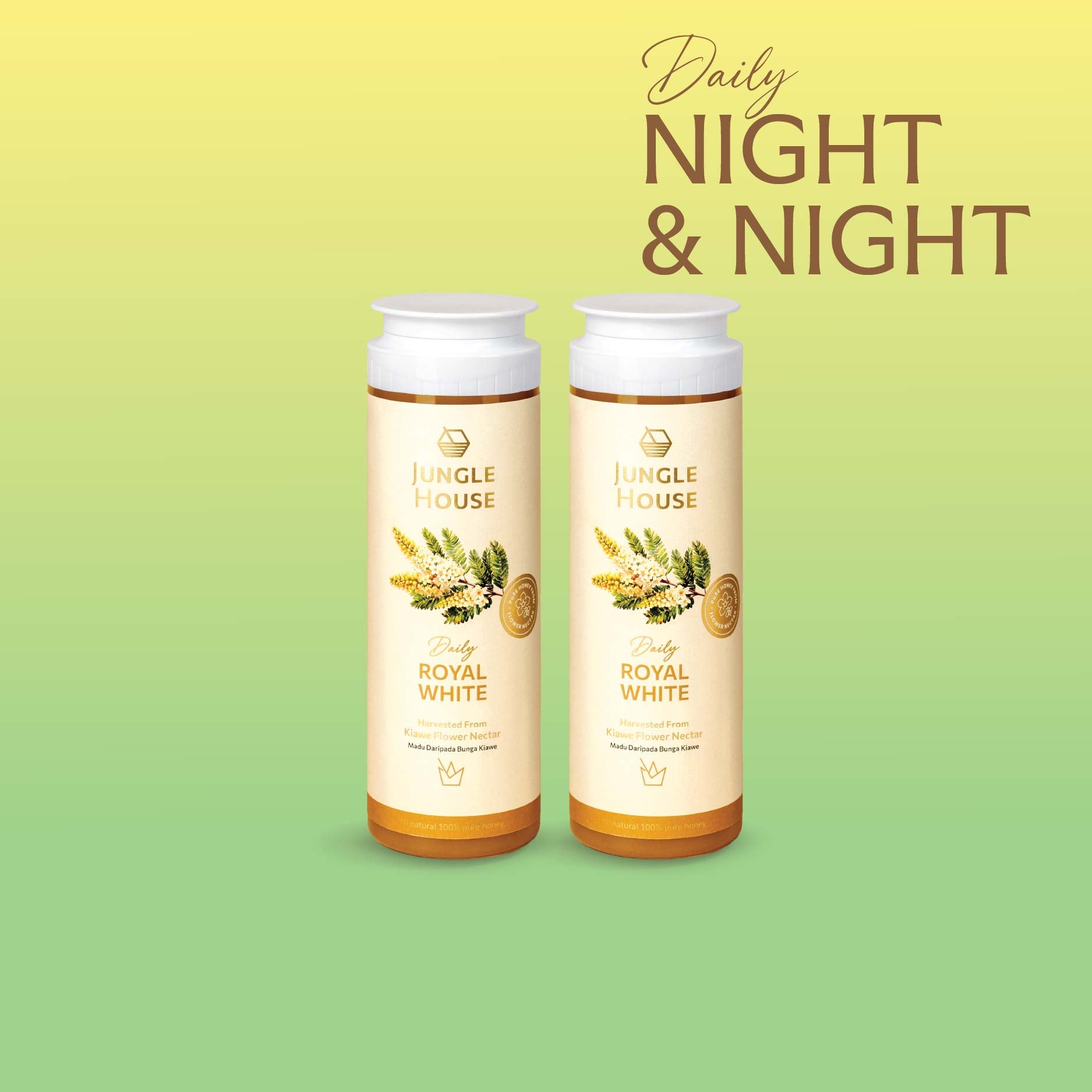 Night & Night Daily