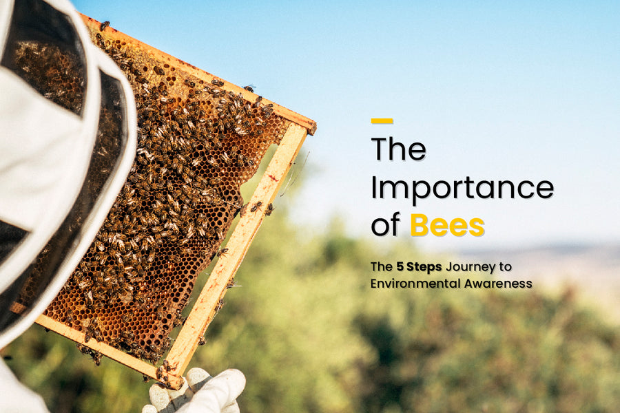 The Importance of Bees: The 5-Step Journey to Environmental Awareness ...