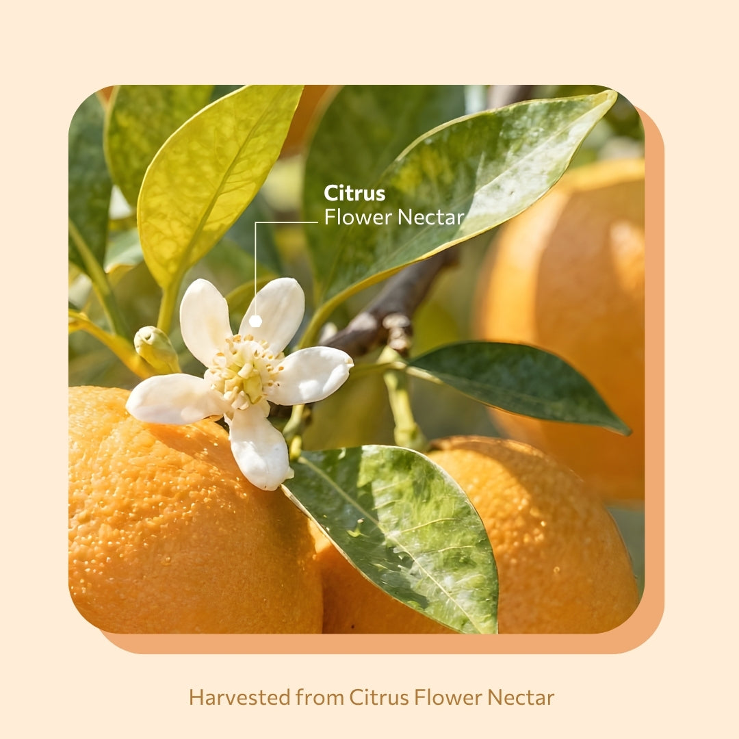 Daily Citrus Bloom 420g