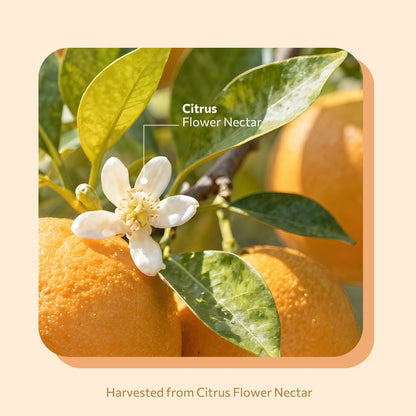 Daily Citrus Bloom 420g