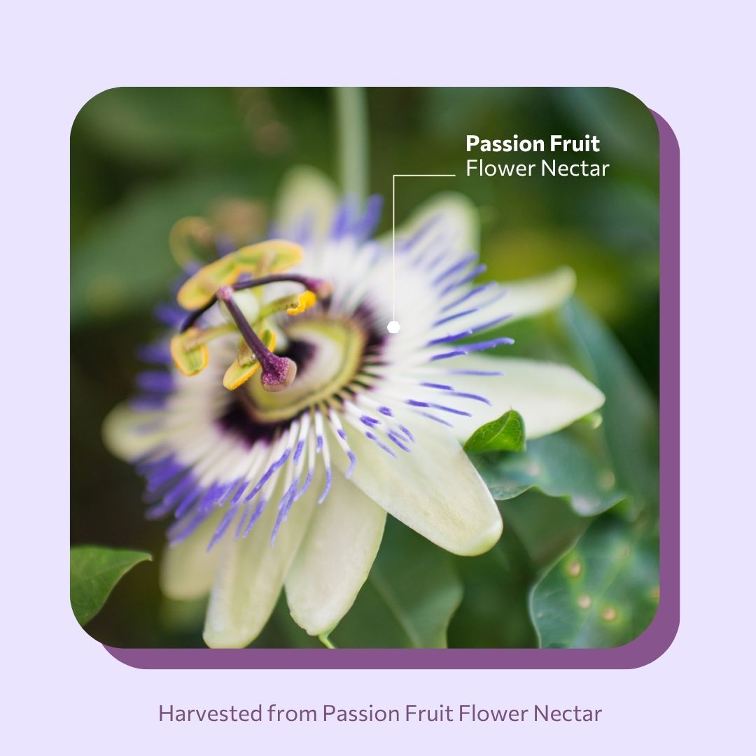 Daily Golden Passion 420g