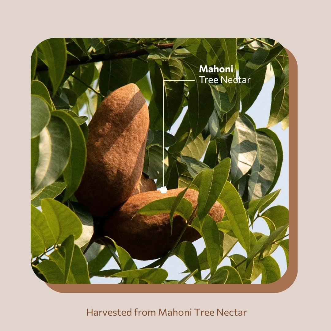 Daily Royal Black 420g