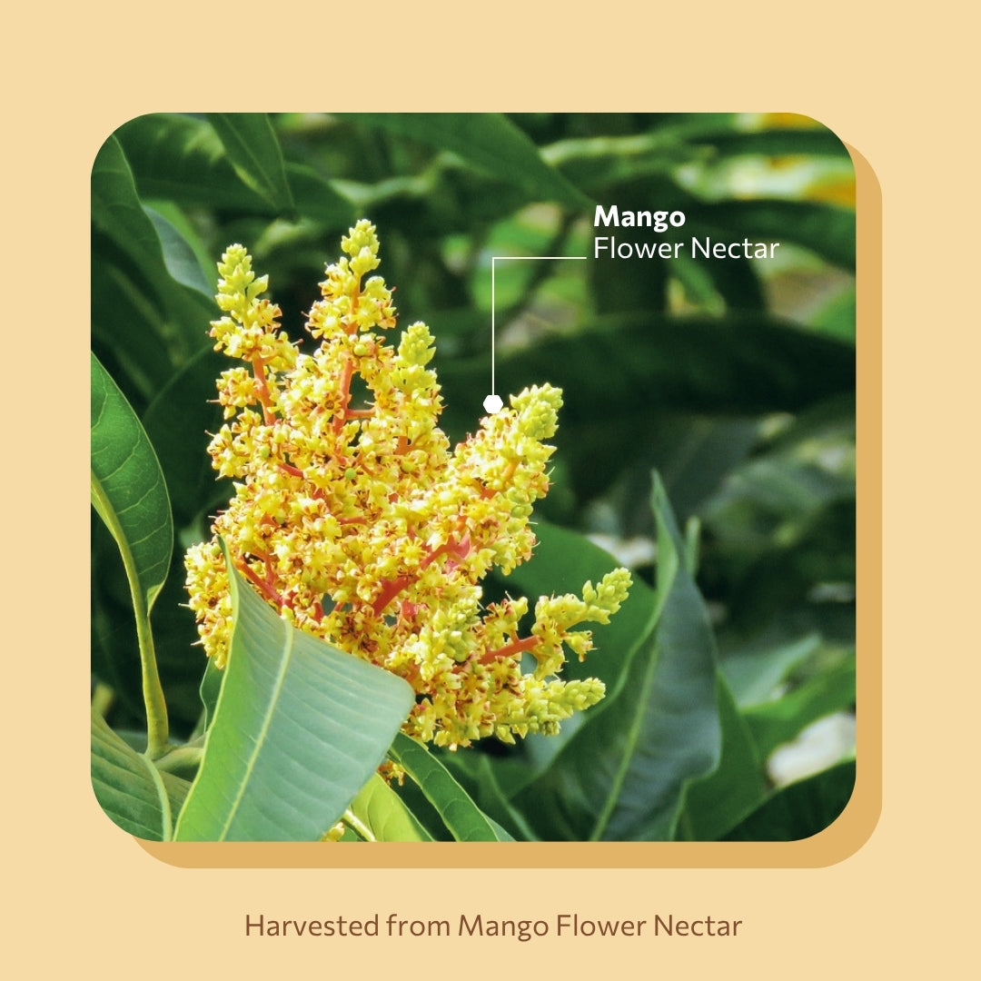 Daily Sweettooth 420g