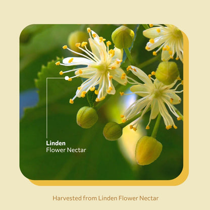 Daily Yellow Love 420g