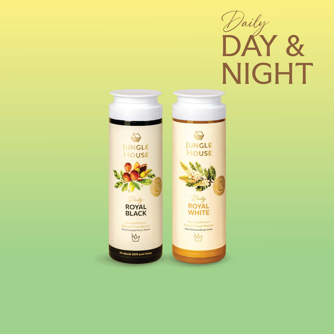 Day &amp; Night Daily