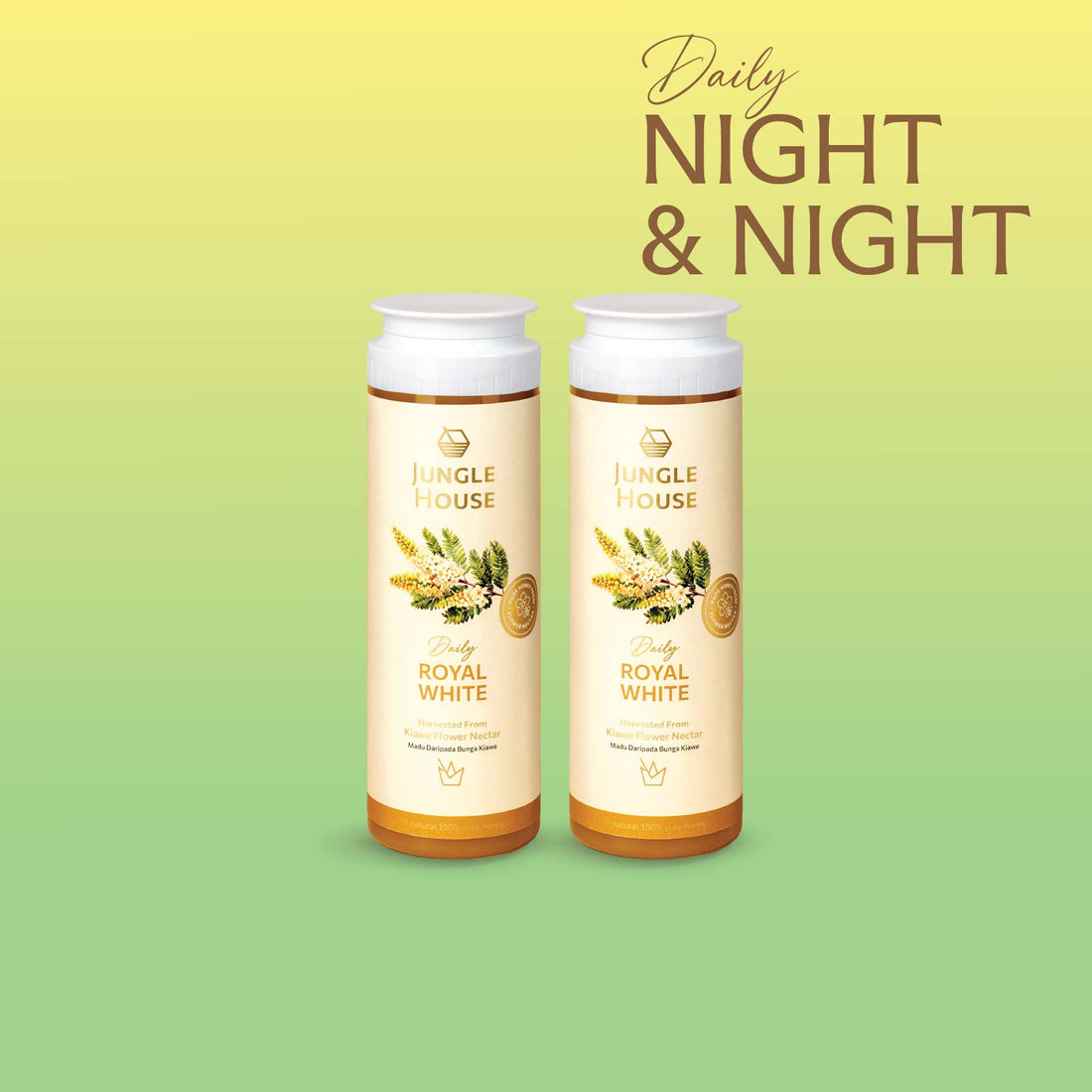 Night &amp; Night Daily