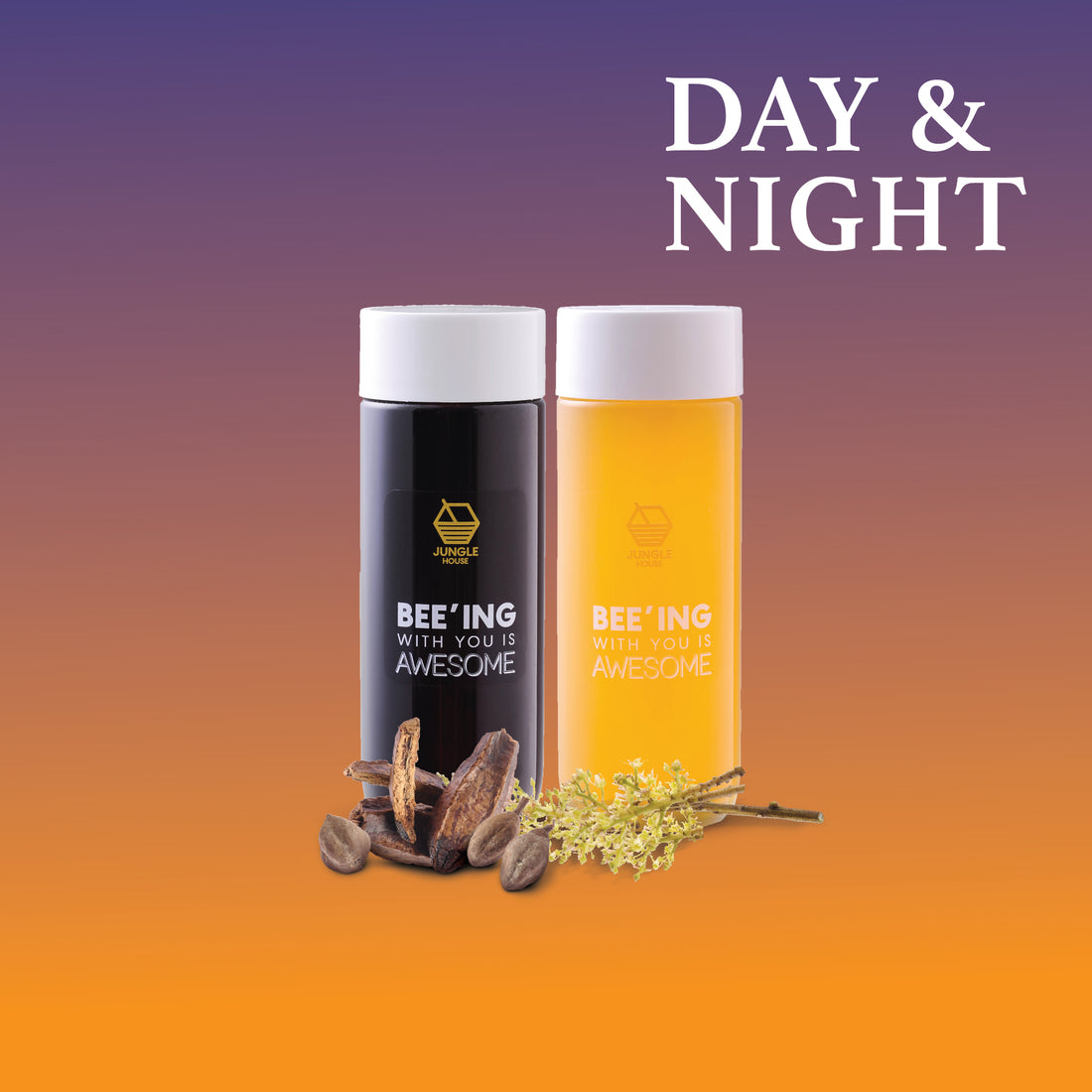 Day &amp; Night Daily